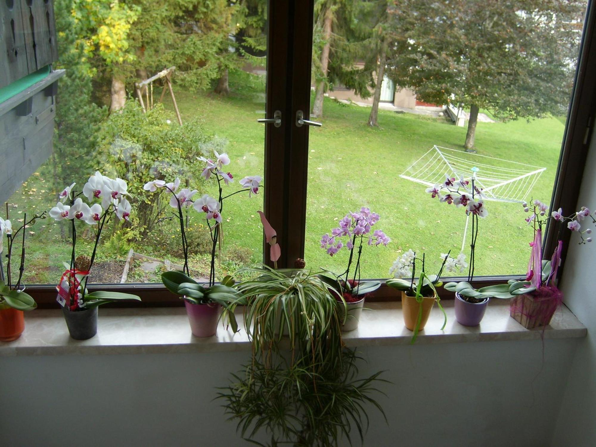 Appartements Birkenhof 베르왕 외부 사진